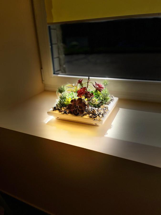 Siauliu Apartamentai 希奥利艾 外观 照片